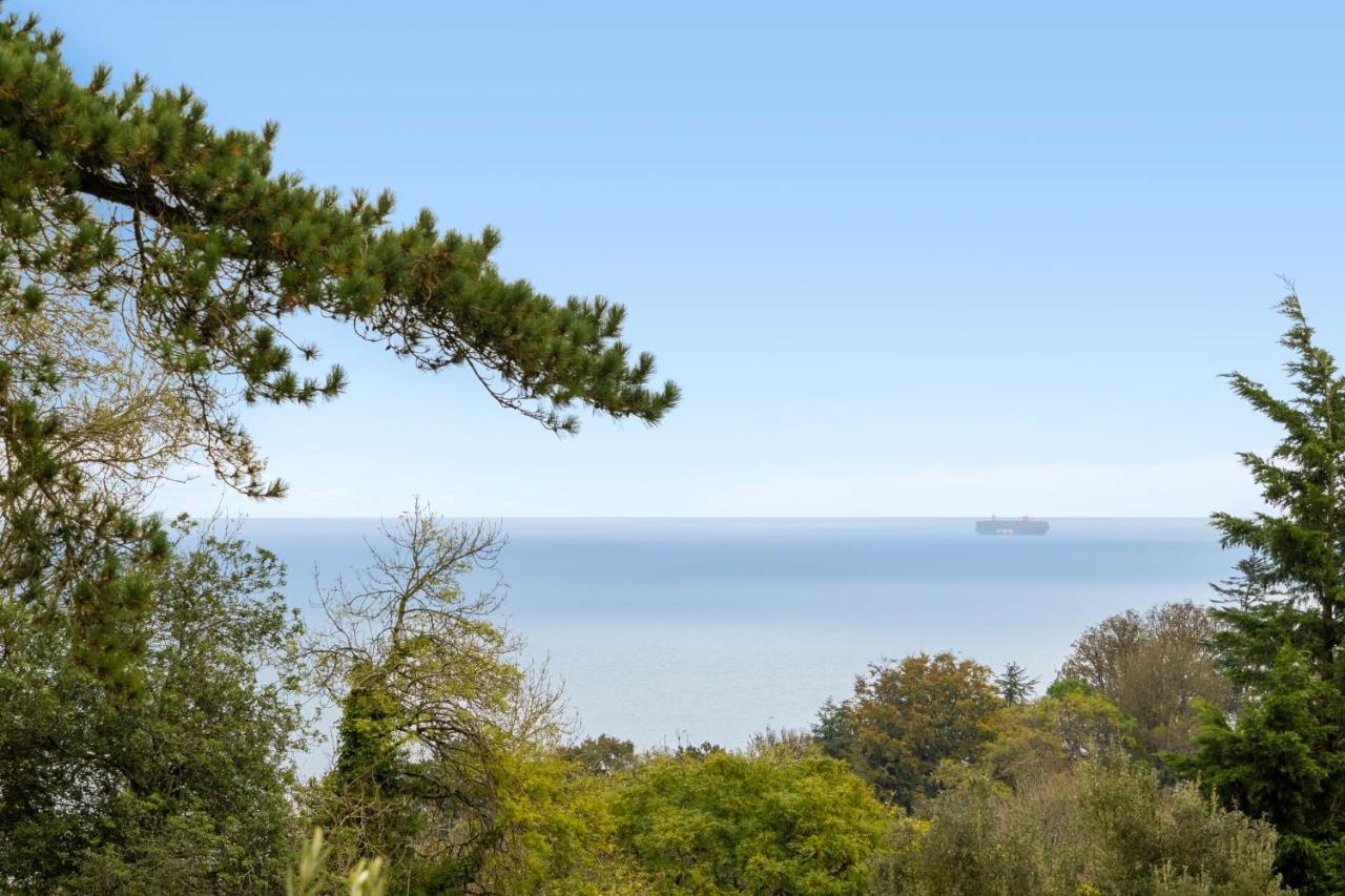 Stunning Sea View Whole Home In Torbay Close To Beach Торки Екстериор снимка